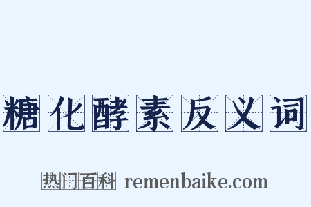 糖化酵素反义词是什么意思的图片